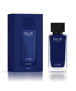 DILIS Rainy Day EDP Парфюмерная вода для мужчин, 100 мл