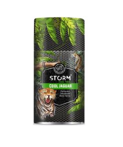 STORM for Men Cool Jaguar Парфюмированный дезодорант – спрей для тела, 250 мл